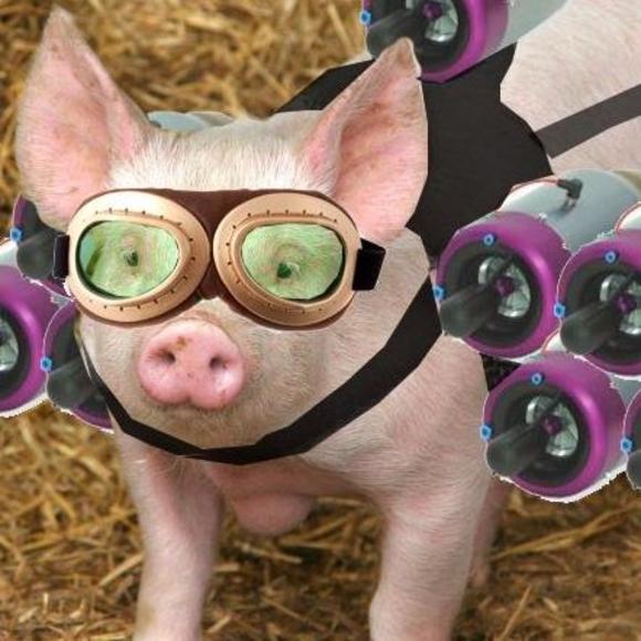 Meet your Posher, Brian - Picture 1 of 1